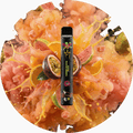 Vapeadores Fade Ghost